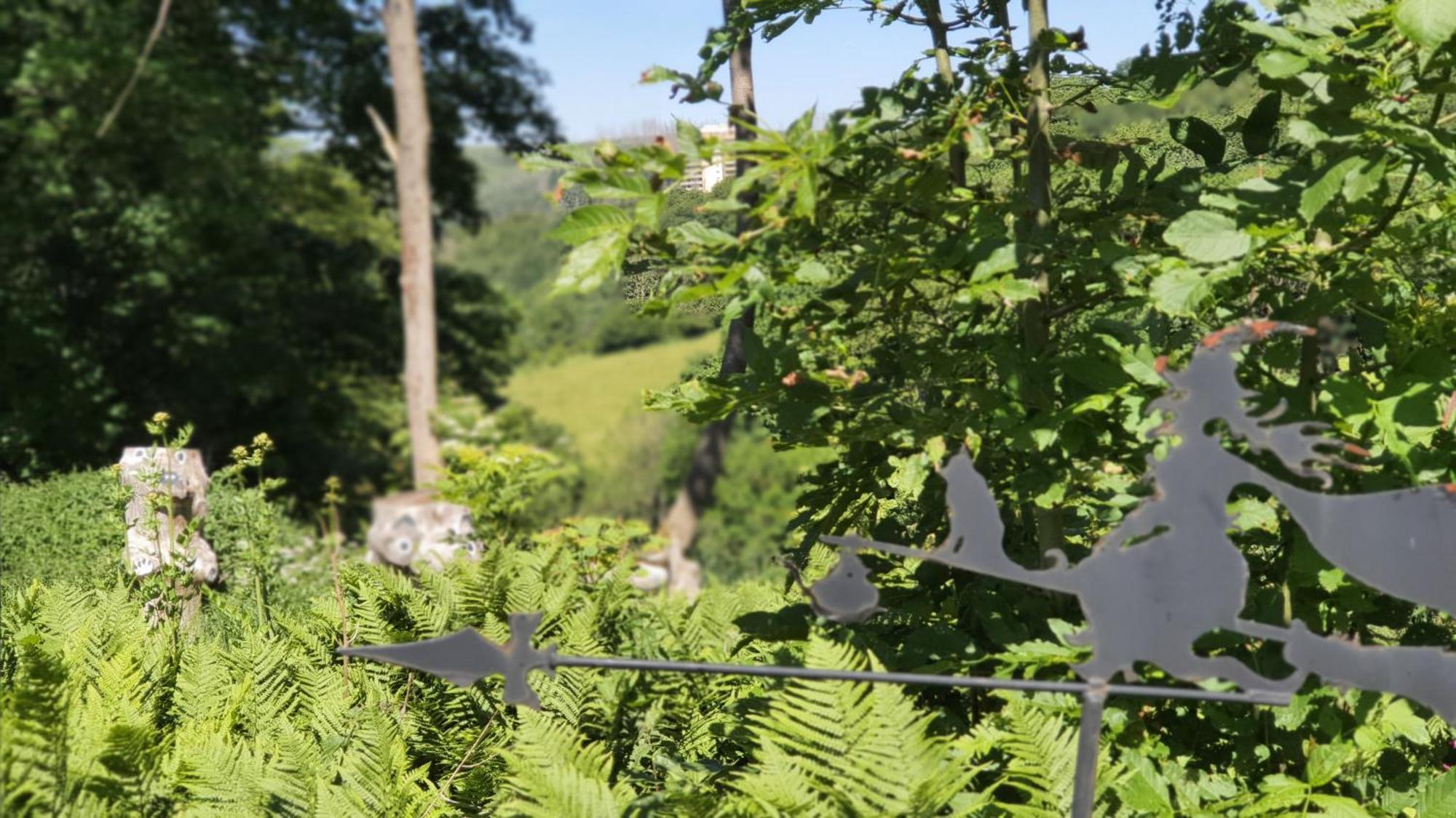 Hotel Schneiderhof Braunlage Buitenkant foto